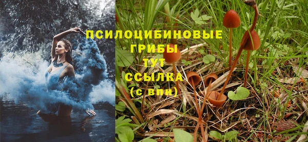jwh Богданович