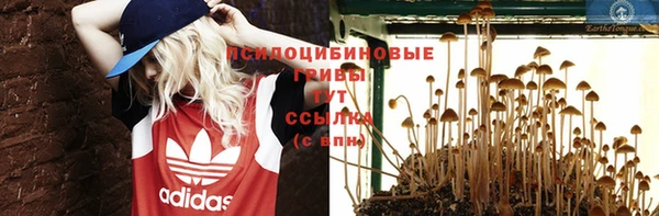 jwh Богданович
